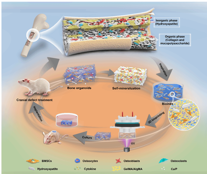 云顶集团3118(中国)官方网站