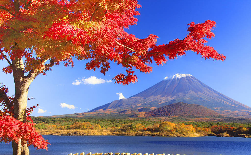 云顶集团3118(中国)官方网站